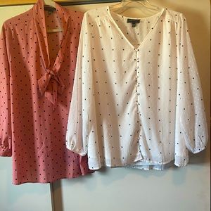 2 Lane Bryant long sleeve blouses 3x/4x